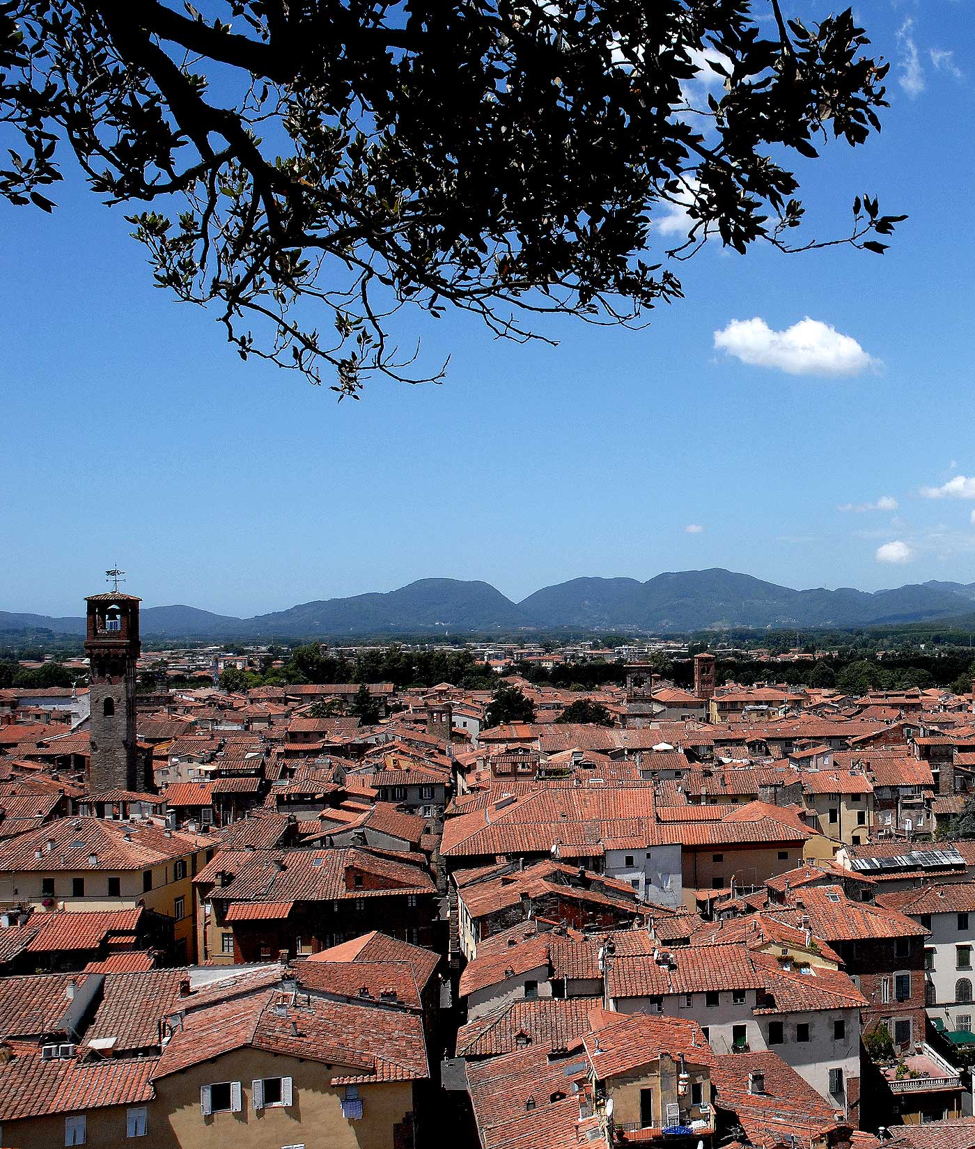 Photo around Plain of Lucca bed and breakfast locanda francigena lucca